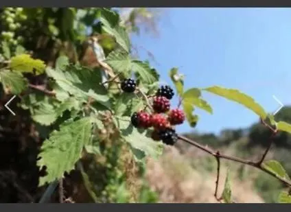 Antico Borgo - A Due Passi Dalle Gole Alcantara Motta Camastra